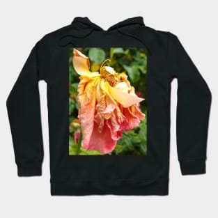 Ball Gown Dead Rose, yellow orange Hoodie